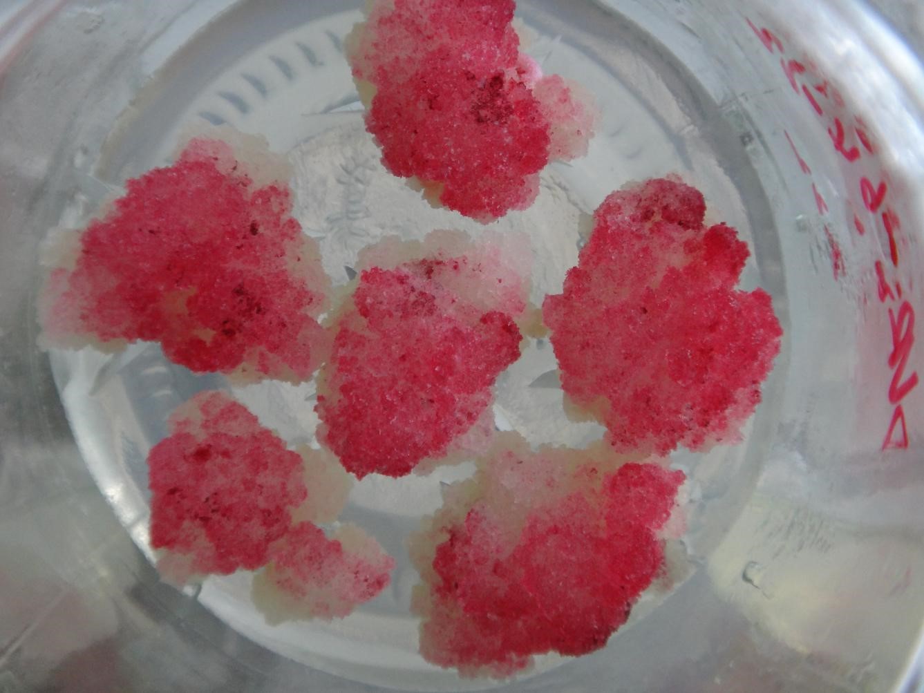 �߻�ɫ�պϳ�������ϸ��