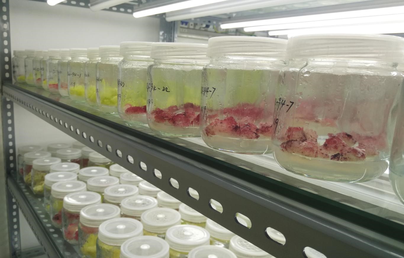 �����е�����ϸ��